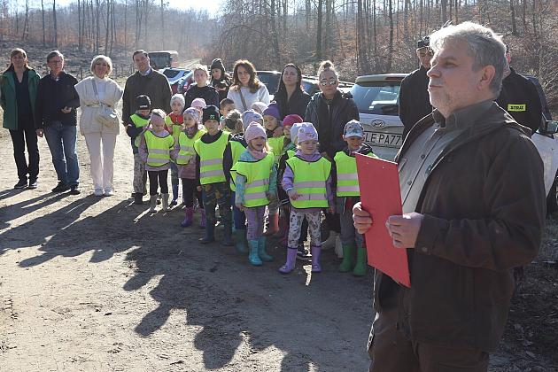 Wielka akcja wspólnego sadzenia lasu w Nadleśnictwie Lębork