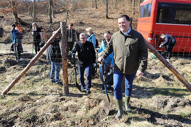 Wielka akcja wspólnego sadzenia lasu w Nadleśnictwie Lębork