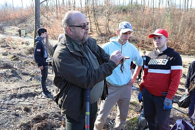 Wielka akcja wspólnego sadzenia lasu w Nadleśnictwie Lębork