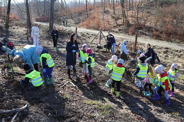 Wielka akcja wspólnego sadzenia lasu w Nadleśnictwie Lębork