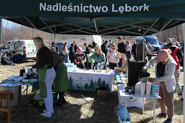 Wielka akcja wspólnego sadzenia lasu w Nadleśnictwie Lębork