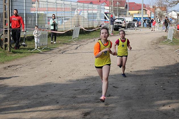 Biegacze wrócili do rywalizacji w Grand Prix Lęborka