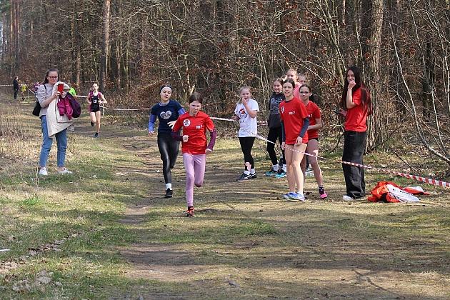 Biegacze wrócili do rywalizacji w Grand Prix Lęborka