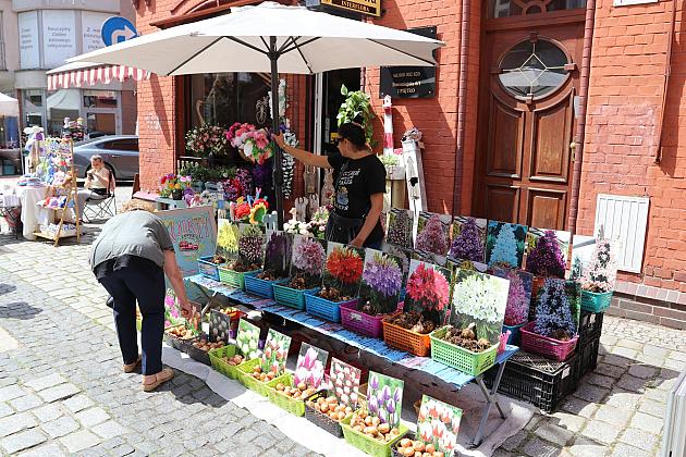 Kolorowe stoiska, regionalne smaki i rękodzieło – magia Jarmarku św. Jakuba!