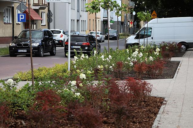 Zieleń wraca do centrum Lęborka