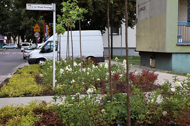 Zieleń wraca do centrum Lęborka