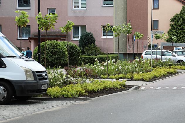 Zieleń wraca do centrum Lęborka