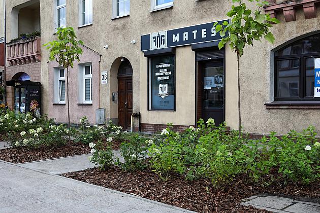 Zieleń wraca do centrum Lęborka