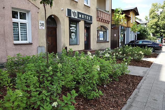 Zieleń wraca do centrum Lęborka