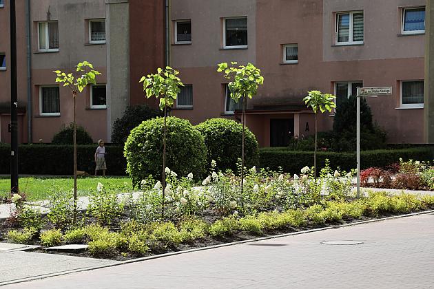 Zieleń wraca do centrum Lęborka