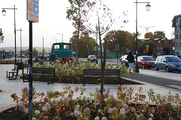 Krzewy i drzewa zmieniają krajobraz Lęborka