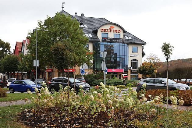 Krzewy i drzewa zmieniają krajobraz Lęborka