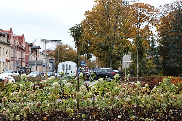 Krzewy i drzewa zmieniają krajobraz Lęborka