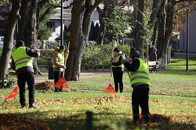 Dbają o porządek na skwerach i w parkach