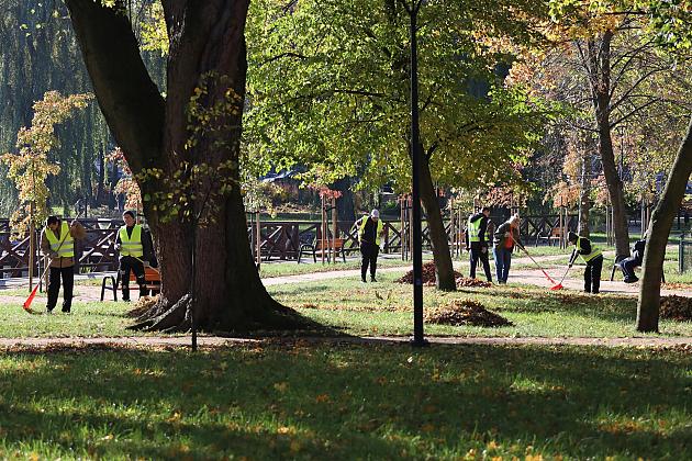 Dbają o porządek na skwerach i w parkach