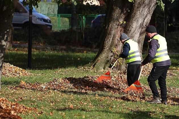 Dbają o porządek na skwerach i w parkach