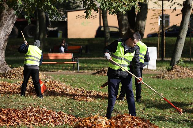 Dbają o porządek na skwerach i w parkach