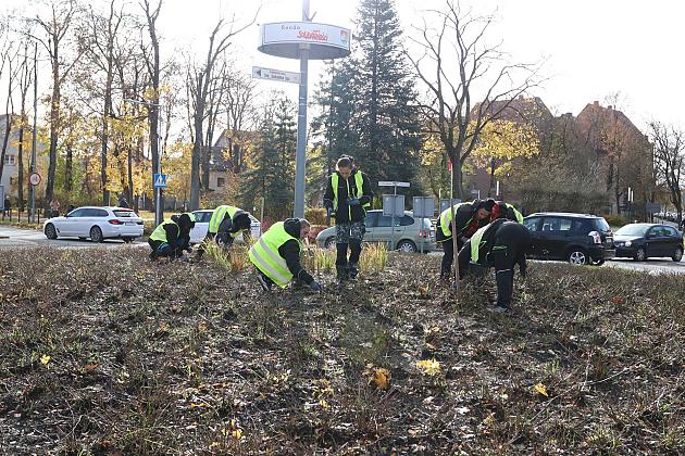 Rondo Solidarności rozkwitnie w biało - czerwonych barwach