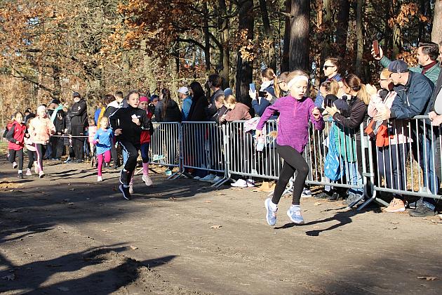 Świętowanie niepodległości na sportowo – 240 uczestników w Biegu o Grand Prix Lęborka