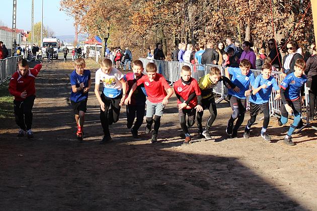 Świętowanie niepodległości na sportowo – 240 uczestników w Biegu o Grand Prix Lęborka