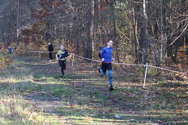 Świętowanie niepodległości na sportowo – 240 uczestników w Biegu o Grand Prix Lęborka
