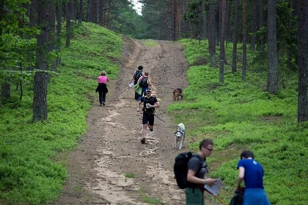 Zawody Dogtrekkingu – po raz pierwszy w Lęborku