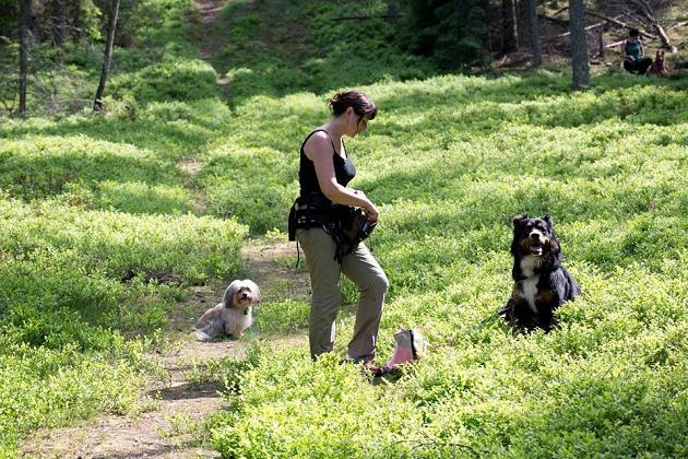 Zawody Dogtrekkingu – po raz pierwszy w Lęborku