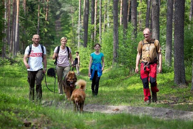 Zawody Dogtrekkingu – po raz pierwszy w Lęborku