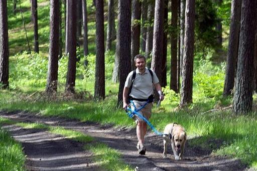 Zawody Dogtrekkingu – po raz pierwszy w Lęborku