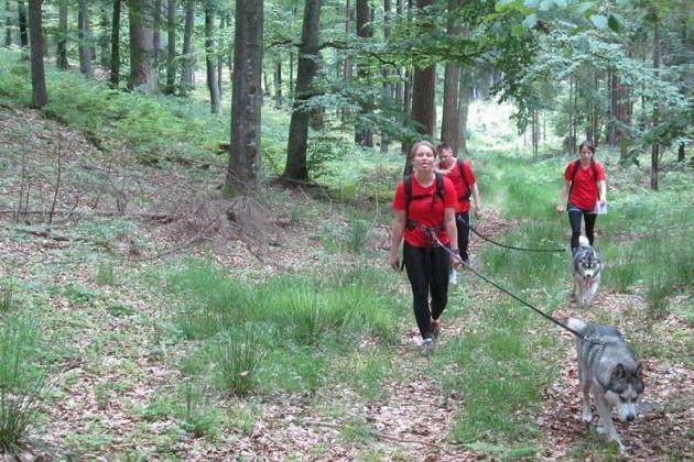 Zawody Dogtrekkingu – po raz pierwszy w Lęborku