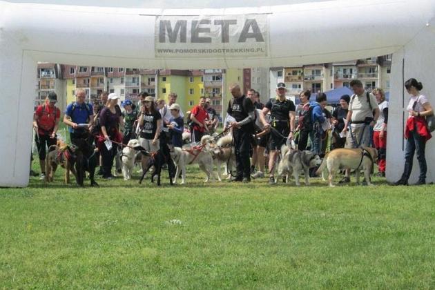 Zawody Dogtrekkingu – po raz pierwszy w Lęborku