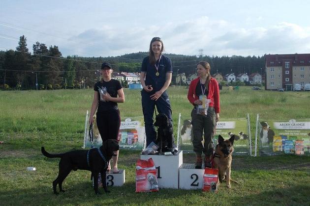 Zawody Dogtrekkingu – po raz pierwszy w Lęborku