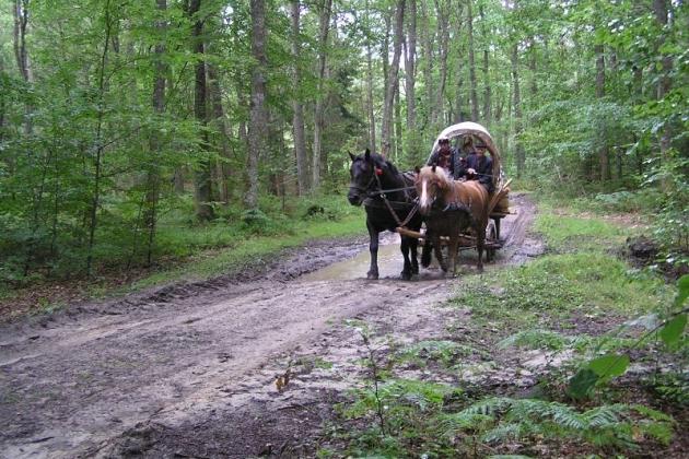 Pieszo z taborem do Świecina