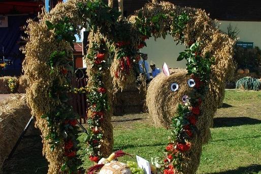 Powiatowe święto plonów