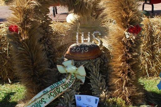 Powiatowe święto plonów