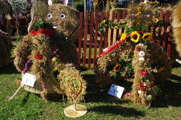 Powiatowe święto plonów