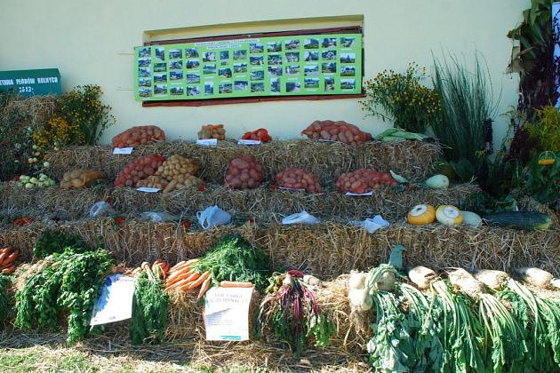 Powiatowe święto plonów