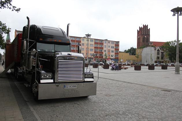 My nie gryziemy w Lęborku! – akcja edukacyjna o zwierzętach