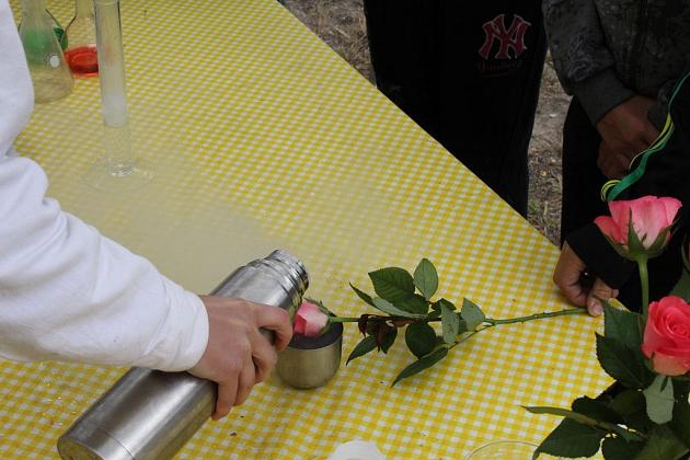 Piknik Edukacyjny w SP nr 5