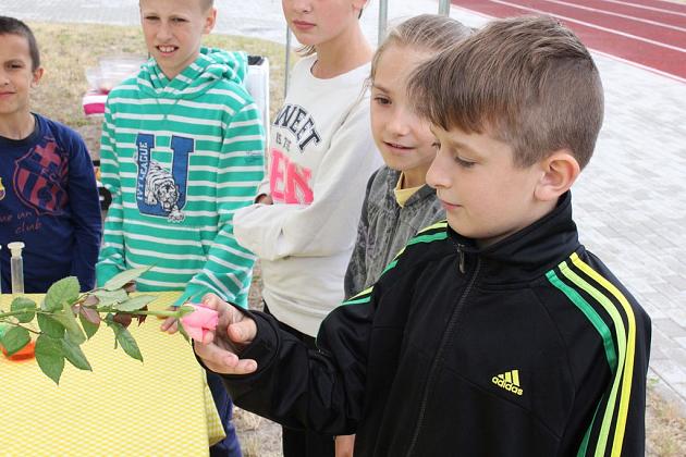 Piknik Edukacyjny w SP nr 5