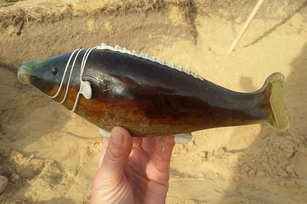 Cenne znaleziska z Czarnówka