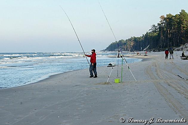 VII Mistrzostwa Polski w Sufrcastingu