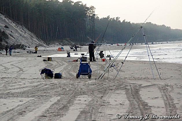 VII Mistrzostwa Polski w Sufrcastingu