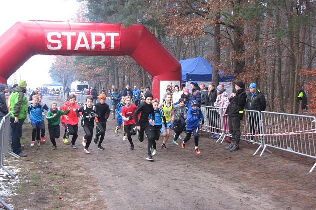 Biegi Przełajowe z okazji Święta Niepodległości