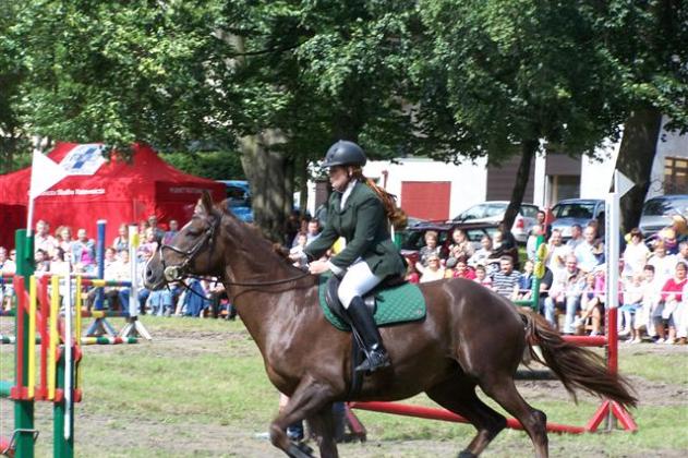 Widowiskowe zawody jeździeckie w Parku Chrobrego