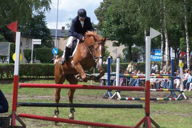 Widowiskowe zawody jeździeckie w Parku Chrobrego