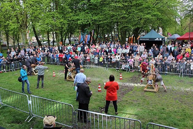 Majowe świętowanie w Lęborku
