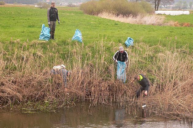 Posprzątano rzekę Łebę
