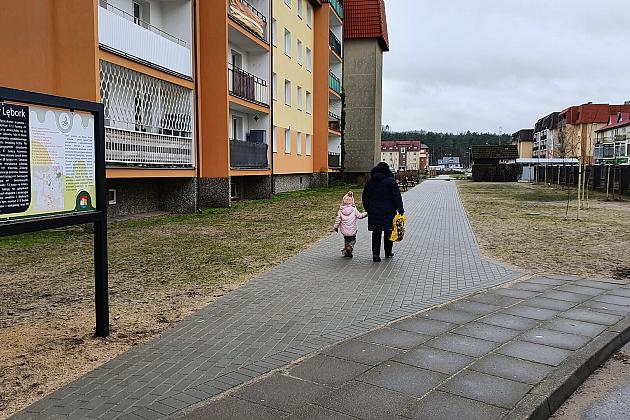 „Więcej drzew i krzewów w mieście – zielony Lębork”