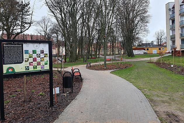 „Więcej drzew i krzewów w mieście – zielony Lębork”